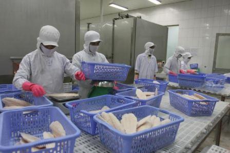 Hiện mới có 30 DN thủy sản Việt Nam đủ điều kiện xuất khẩu sang Nga