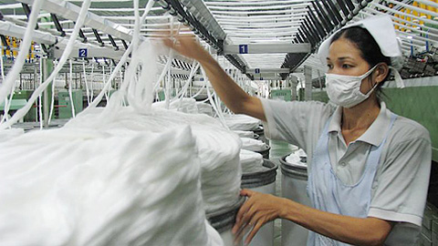 Việt Nam hiện phải nhập khẩu 98% bông phục vụ cho ngành kéo sợi.