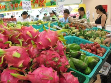 Australia chính thức bắt đầu quá trình xem xét để cấp phép nhập khẩu quả thanh long Việt Nam.