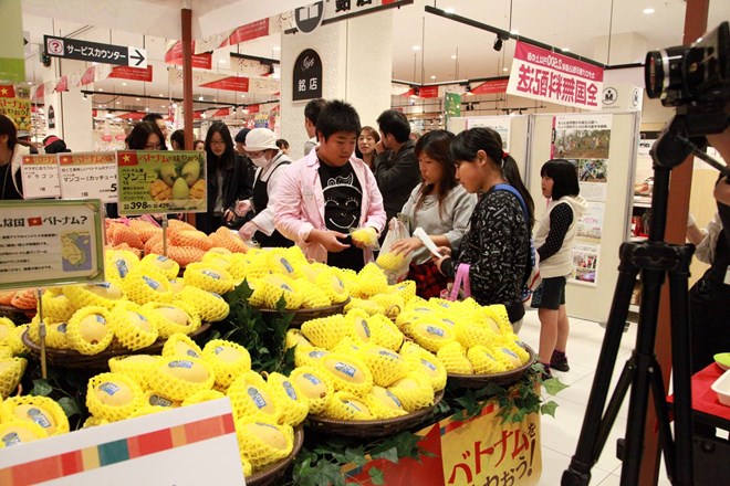 Trái xoài tươi Việt Nam bày bán tại siêu thị Nhật Bản.