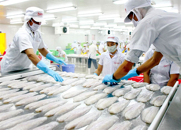 Nhiều mặt hàng xuất khẩu của Việt Nam sang các thị trường Liên minh kinh tế Á – Âu sẽ được giảm thuế ngay khi FTA có hiệu lực.