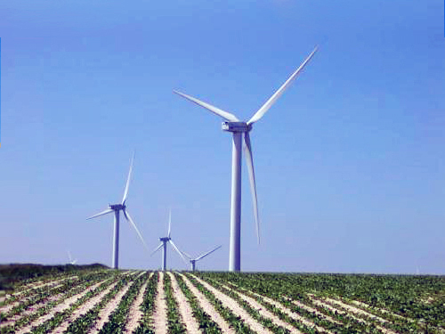 Hiện, số lượng nhà máy điện gió đã đưa vào vận hành tại Việt Nam vẫn còn khiêm tốn, với tổng công suất khoảng 160 MW). 