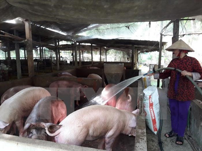 AVR đề nghị Các doanh nghiệp hội viên ưu tiên tiêu thụ sản phẩm chăn nuôi trong nước, triển khai chương trình khuyến mãi, giảm giá đối với các sản phẩm thịt lợn trên toàn quốcđể tăng sức mua trong nước và tìm cách xuất khẩu.