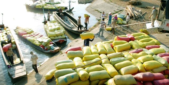 xuất khẩu gạo của Việt Nam hiện nay bị cạnh tranh gay gắt từ các nước xuất khẩu gạo lớn trên thế giới như Thái Lan, Ấn Độ và các nước mới tham gia vào xuất khẩu gạo như Campuchia và Myanmar