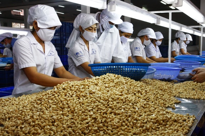 Hạt điều Việt Nam được xuất khẩu đến 90 thị trường, trong đó Hoa Kỳ chiếm thị phần cao nhất (35%), EU (25%) và Trung Quốc (18%). 