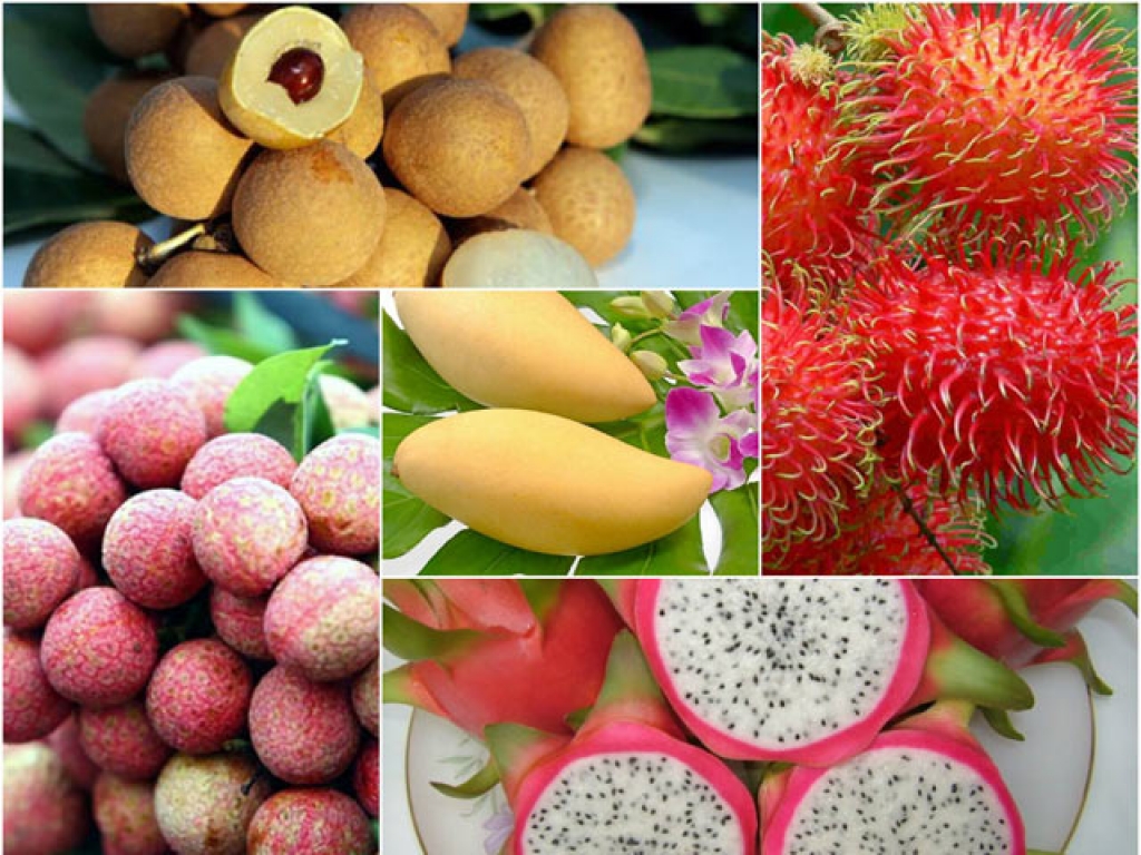 Bộ Công Thương đã và đang phối hợp tích cực với Bộ Nông nghiệp và Phát triển nông thôn trong công tác tháo gỡ rào cản kỹ thuật để mở cửa thị trường Úc đối với một số loại trái cây tươi.