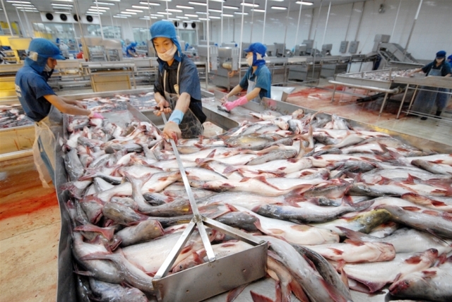 Từ hôm nay (2/8/2017), 100% lô cá tra của DN Việt Nam xuất khẩu sang Mỹ sẽ bị kiểm tra nghiêm ngặt về an toàn thực phẩm, dán nhãn...