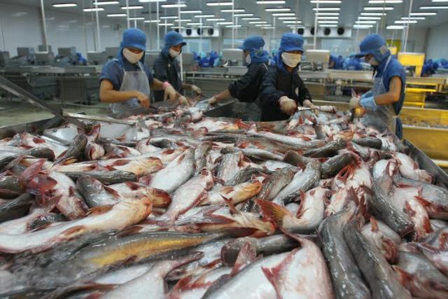 Xuất khẩu thủy sản Việt Nam sang thị trường Mỹ trầy trật hơn do vướng quy định về an tòn thực phẩm theo FSMA.