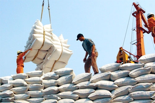 Nhiều nông sản Việt Nam, trong đó có gạo được đánh giá có tiềm năng xuất khẩu sang thị trường Trung Đông – Châu Phi.