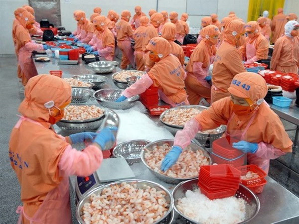 Australia sẽ việc kiểm tra đối với mặt hàng tôm nấu chín nhập khẩu vào thị trường này