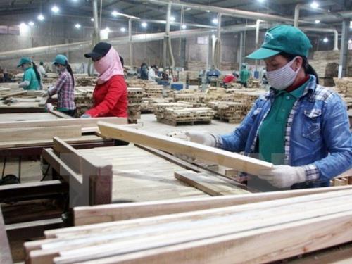Xuất khẩu đồ gỗ của Việt Nam vẫn tăng trưởng ở mức 13,3%, đạt 5,59 tỷ USD trong 8 tháng, bất chấp nhu cầu tiêu dùng nội thất toàn cầu giảm.