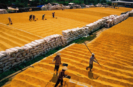 Hội nghị gạo thế giới lần thứ 10 do Bộ Công Thương phối hợp với Tạp chí The Rice Trader (TRT) tổ chức sẽ diễn ra tại Hà Nội từ 10-12/10/2018.