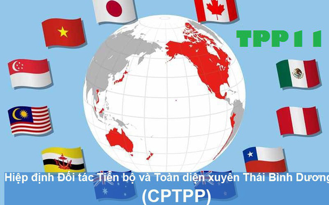 Uỷ ban Thường vụ Quốc hội sẽ cho ý kiến việc phê chuẩn Hiệp định Đối tác Toàn diện và Tiến bộ xuyên Thái Bình Dương (CPTPP) trước khi chính thức trình Quốc hội thông qua. 
