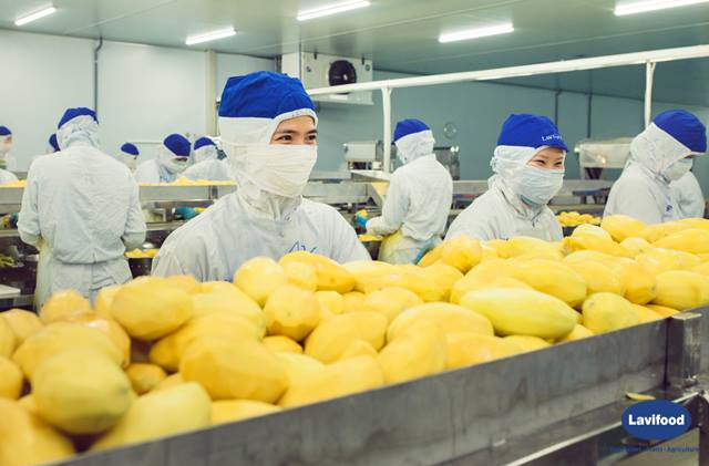 Bộ trưởng Nguyễn Xuân Cường cho biết, xuất khẩu rau quả cả năm 2018 sẽ đạt 4,2 tỷ USD, đồng thời đón thêm các nhà máy chế biến quy mô lớn vào hoạt động.