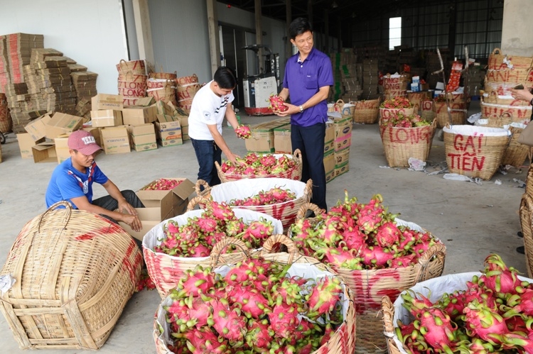 Thương mại song phương Việt Nam-Hàn Quốc nhắm mốc 100 tỷ USD vào năm 2020, trong đó, nhiều mặt hàng nông sản Việt Nam như trái cây tươi có khả năng xuất khẩu lớn sang Hàn Quốc.