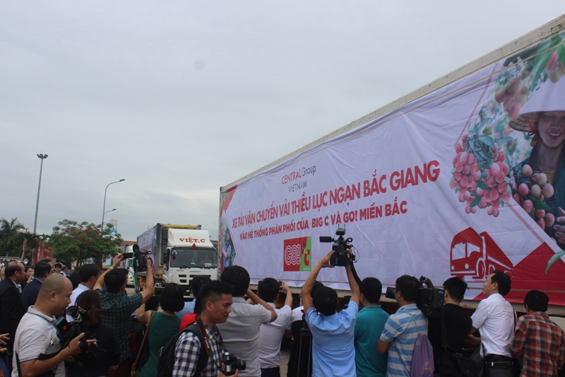 Sáng 29/5/2019, Central Group Việt Nam mua 6 container vải thiều để bán tại hệ thống siêu thị Big C ở nhiều tỉnh thành và cả hệ thống siêu thị Lan Chi - đối tác chiến lược của Central Group Việt Nam.