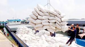 Tổng lượng hạn ngạch thóc, gạo các loại năm 2019 là 300.000 tấn gạo (nếu là thóc thì tỷ lệ quy đổi là 2 kg thóc = 1kg gạo)