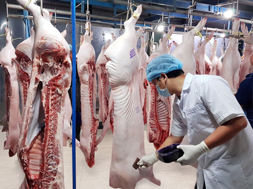 8 tháng 2019, xuất khẩu sản phẩm chăn nuôi mang về 449 triệu USD, tăng 3,6% so với cùng kỳ năm trước.