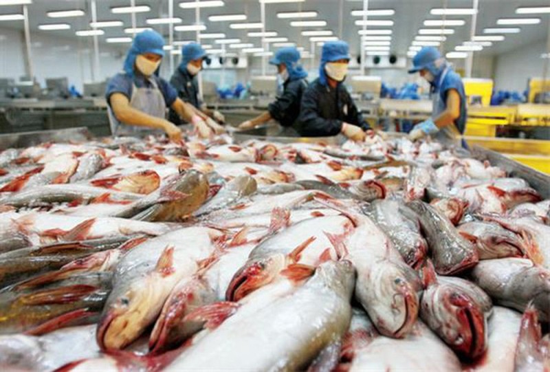 Cơ quan chức năng Đài Loan vừa công bố danh sách các doanh nghiệp thủy sản Việt Nam được phép xuất khẩu vào thị trường này. 