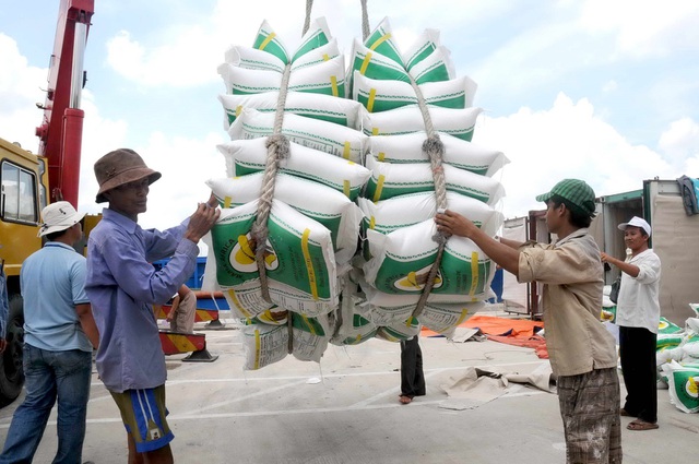 Xuất khẩu gạo sang Philippines sẽ dễ thở hơn khi Philippines chấm dứt điều tra sơ bộ về việc áp dụng biện pháp tự vệ toàn cầu đối với sản phẩm gạo nhập khẩu.