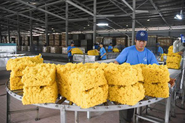 Trung Quốc là thị trường xuất khẩu cao su lớn nhất của Việt Nam, với giá trị xuất khẩu 9 tháng đạt gần 975 triệu USD.