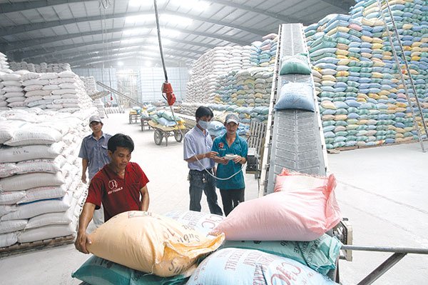  số liệu gạo sản xuất, dự trữ và xuất khẩu mà Bộ Công Thương nắm được đã có độ vênh nhất định so với thực tế, đặc biệt là sản lượng tại đồng bằng sông Cửu Long và lượng tồn kho trong dân.