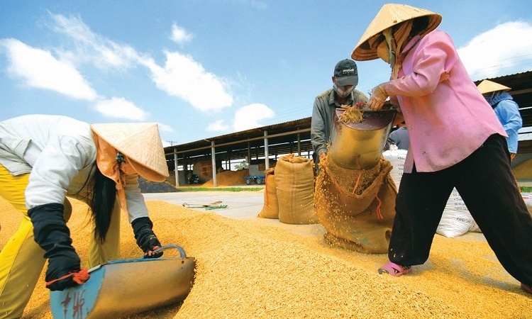 Bộ Công Thương đề xuất cho phép tiếp tục xuất khẩu gạo nhưng phải kiểm soát chặt số lượng theo từng tháng với số lượng xuất khẩu trong tháng 4 là 400.000 tấn