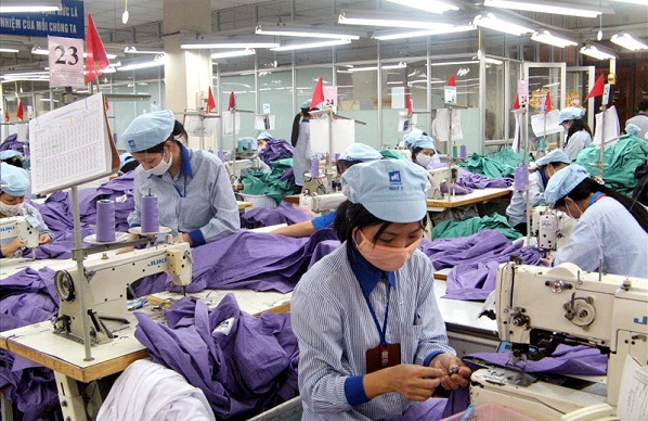 Bộ Công Thương cho biết, Việc chậm trễ triển khai đăng ký mã số REX dẫn đến khó khăn cho doanh nghiệp xuất khẩu hàng hóa của Việt Nam đi EU.