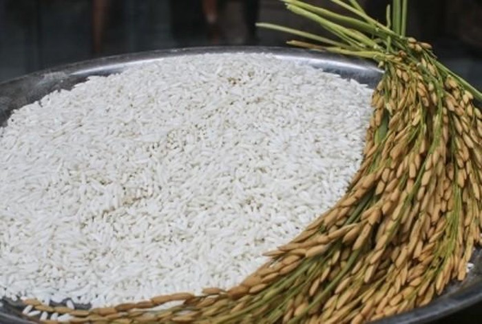 Việc xuất khẩu nếp (bao gồm: thóc nếp, gạo nếp, tấm nếp) trong tháng 4 năm 2020 được thực hiện theo nhu cầu thị trường, không chịu sự điều chỉnh của cơ chế điều hành xuất khẩu gạo 