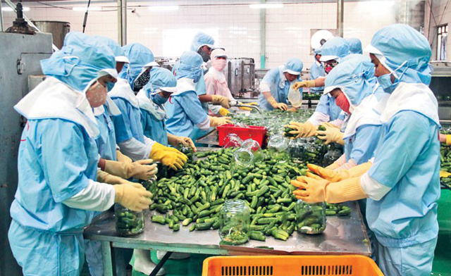 doanh nghiệp Việt Nam tìm đường đưa nông sản sang Trung Quốc