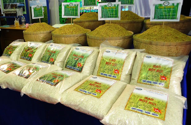 Để hưởng thuế 0%, Các lô hàng gạo thơm thuộc diện TRQ khi xuất khẩu vào thị trường EU phải có giấy chứng nhận đúng chủng loại (authenticity certificate) được cấp bởi cơ quan có thẩm quyền của Việt Nam.