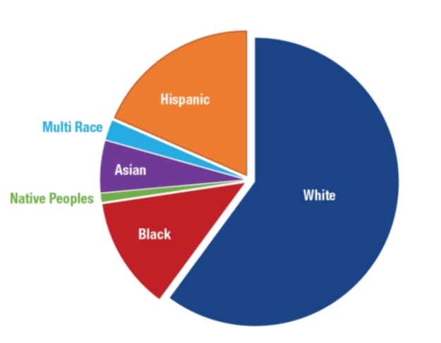 Biểu đồ tỷ lệ dân số theo chủng tộc tại Hoa Kỳ. (Nguồn: Tổng cục Thống kê Hoa Kỳ 2019).