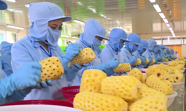 Thương vụ Việt Nam tại Hàn Quốc khuyến cáo doanh nghiệp xuất khẩu thực hiện nghiêm các quy định của Hàn Quốc về vệ sinh an toàn thực phẩm