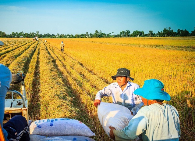 xuất khẩu gạo sang Philippines đã lần đầu tiên đạt hơn 1 tỷ USD