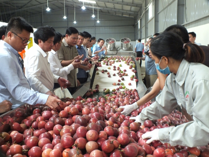 Tỷ trọng xuất khẩu rau quả sang Trung Quốc đang giảm