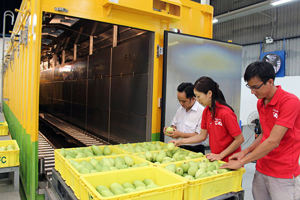 Năm 2020, xuất khẩu xoài đóng góp 180 triệu USD trong 3,27 tỷ USD giá trị xuất khẩu toàn ngành rau quả.