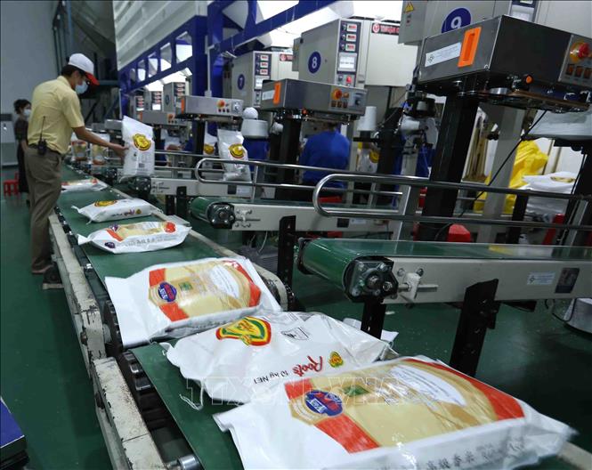 Giá gạo xuất khẩu của Việt Nam biến động 