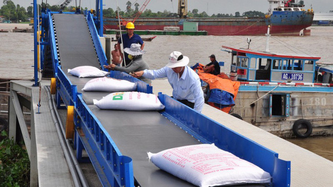 EU phân bổ hạn ngạch cho gạo Việt Nam theo Hiệp định EVFTA