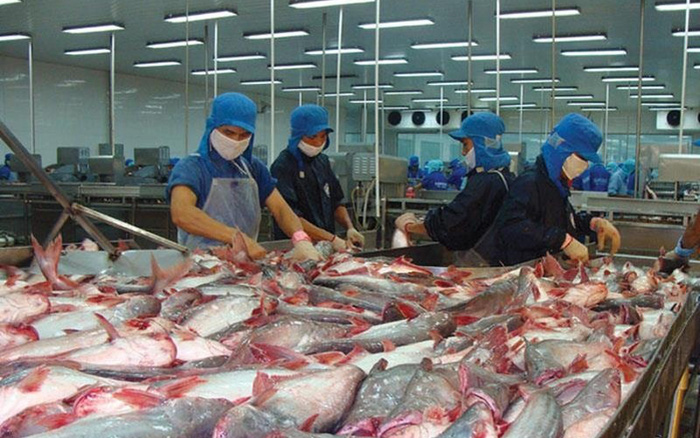 Vĩnh Hoàn và Nam Việt được hưởng thuế 0% khi xuất cá tra sang Mỹ, theo kết luận 