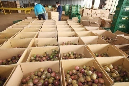 Thị trường Anh nhập khẩu 3,6 triệu tấn hoa quả, trị giá gần 3,9 tỷ bảng (hơn 5,4 tỷ USD)ơn 5,4 tỷ USD 