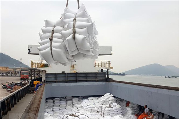 Nhiều doanh nghiệp không dám ký hợp đồng xuất khẩu gạo do cước phí vận chuyển tâng quá cao.
