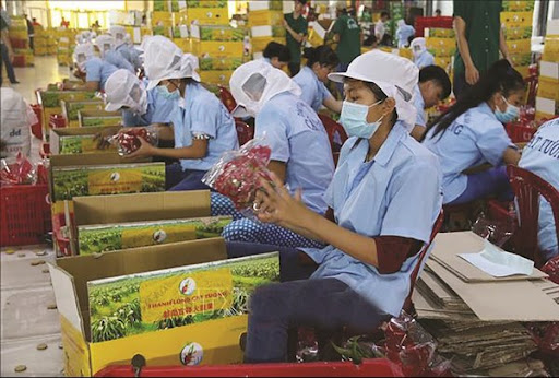 23 Chuyên gia tư vấn cho nông sản Việt chinh phục thị trường Anh  mới nhất