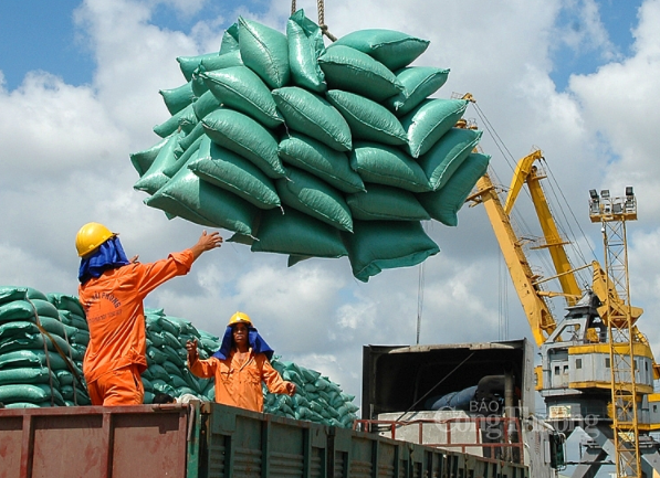 Việt Nam đã xuất khẩu 4 triệu tấn gạo, trong đó xuất sang Philippines và Trung Quốc đạt gần 2,2 triệu tấn.
