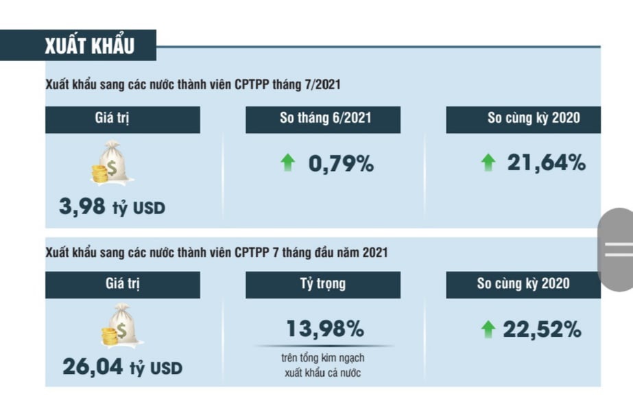 Xuất khẩu hàng hóa sang thị trường CPTPP 7 tháng 2021 tăng 22,5@ so với cùng kỳ 2020.