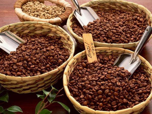 Giá xuất khẩu bình quân cà phê của Việt Nam đạt mức cao nhất kể từ tháng 11/2018.