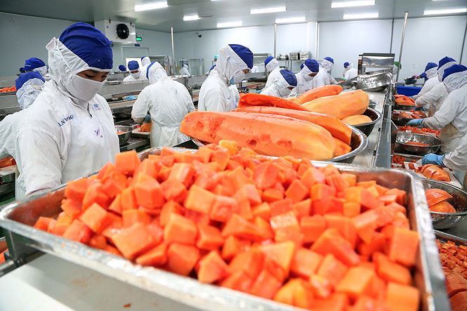 Từ 1/1/2022, doanh nghiệp muốn xuất khẩu thực phẩm sang Trung Quốc phải hoàn tất đăng ký