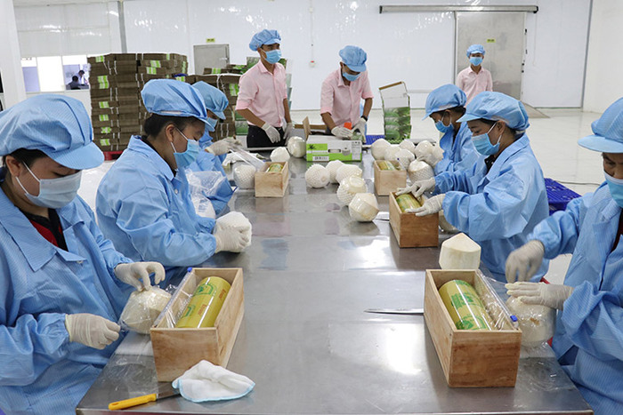 RCEP khi đi vào thực thi sẽ tạo cơ hội cho doanh nghiệp Việt Nam đẩy mạnh xuất khẩu sang 14 thị trường trong khối.