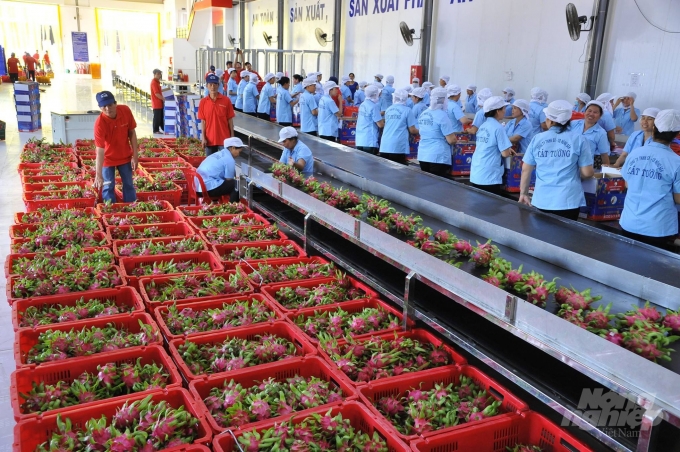 Tần suất kiểm tra thuốc bảo vệ thực vật đối với thanh long nhập khẩu từ Việt Nam là 10%.