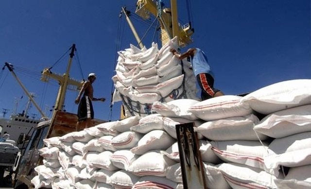 doanh nghiệp có thể bị thu hồi giấy phép nếu không xuất khẩu gạo.