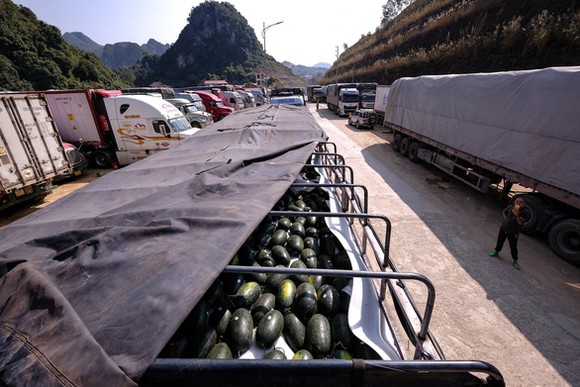 Lạng Sơn tạm dừng tiếp nhận xe chở hoa quả tươi xuất khẩu từ 16-2